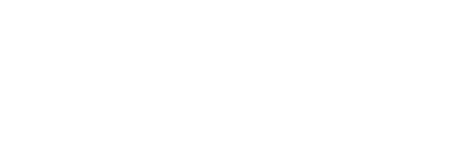 Agente de Seguros